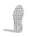 White/Silver
